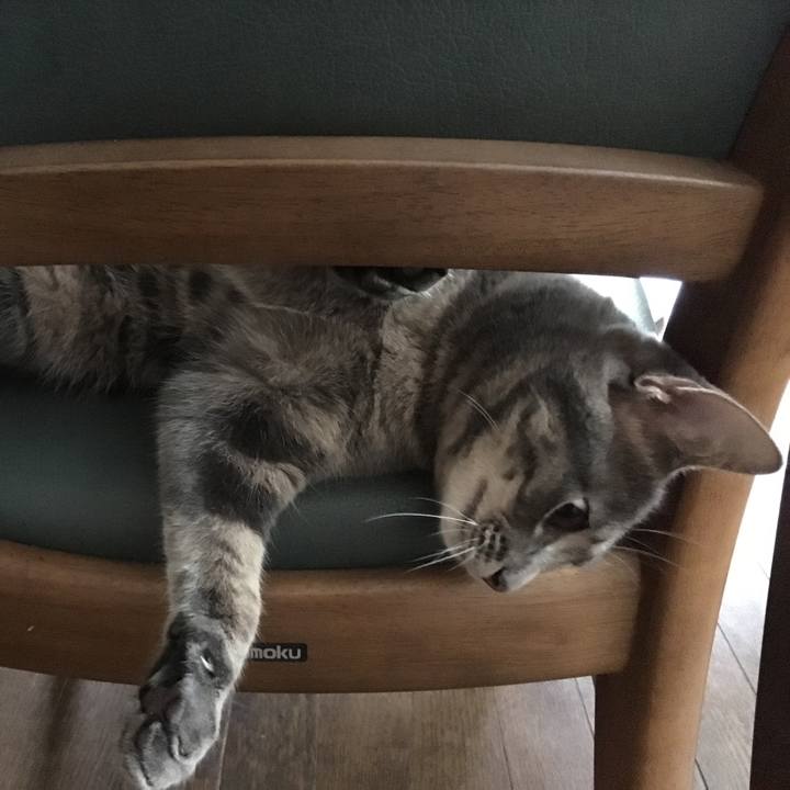 7f90ac2c ea26 49c7 a356 05512cc23397