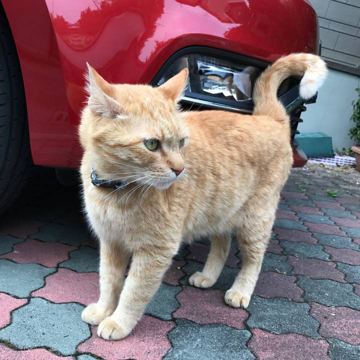 7f90b002 3c92 4e82 87de 44e090d40def