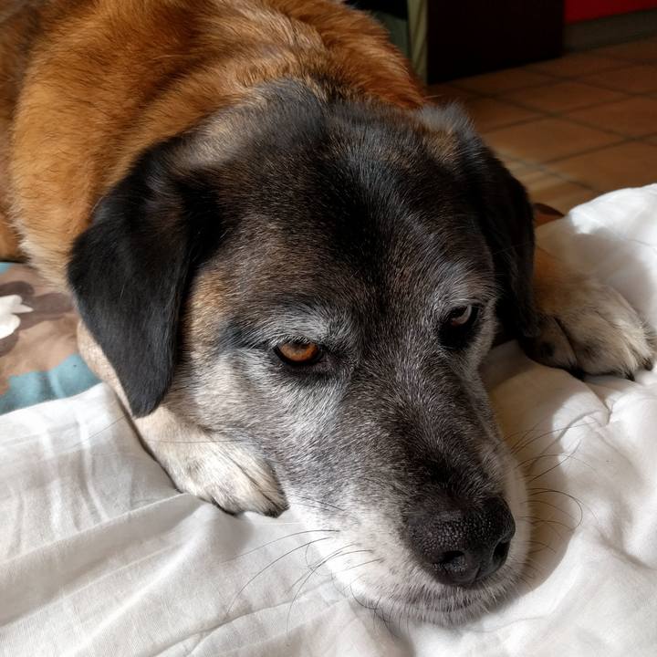 7f937aeb bc3d 47be a9eb 2877bb6f1e8f