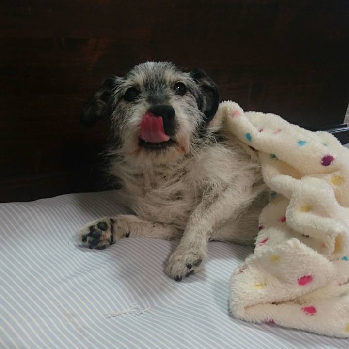 7f939fcc 4073 4927 927d b5b9b5b4f144