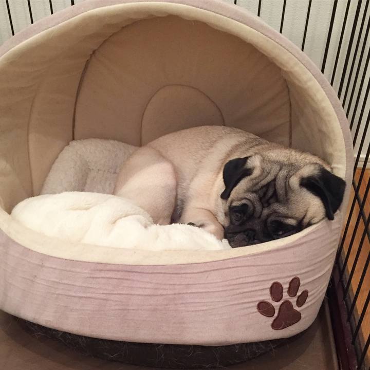 7f93d2a8 ac39 4a70 aa06 a1dc4f4581df