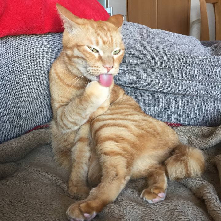 7f950ec5 0e0c 47af bdc1 0efc17c06549