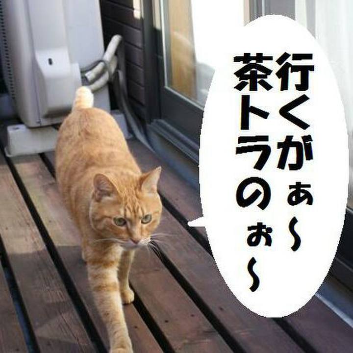 7f9641fc 2d7d 4893 9d5a 97ce457d382e