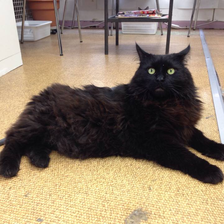 7f96ab5c 0d6f 48a1 92d3 2179deb4ca03