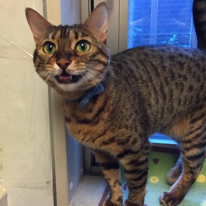 7f96bc59 4e44 4e2f 801b 1976e058875b