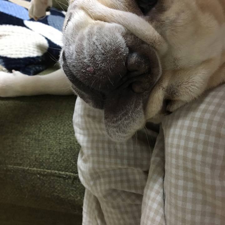 7f971958 e00b 4b62 84f5 8f36f77a27c7