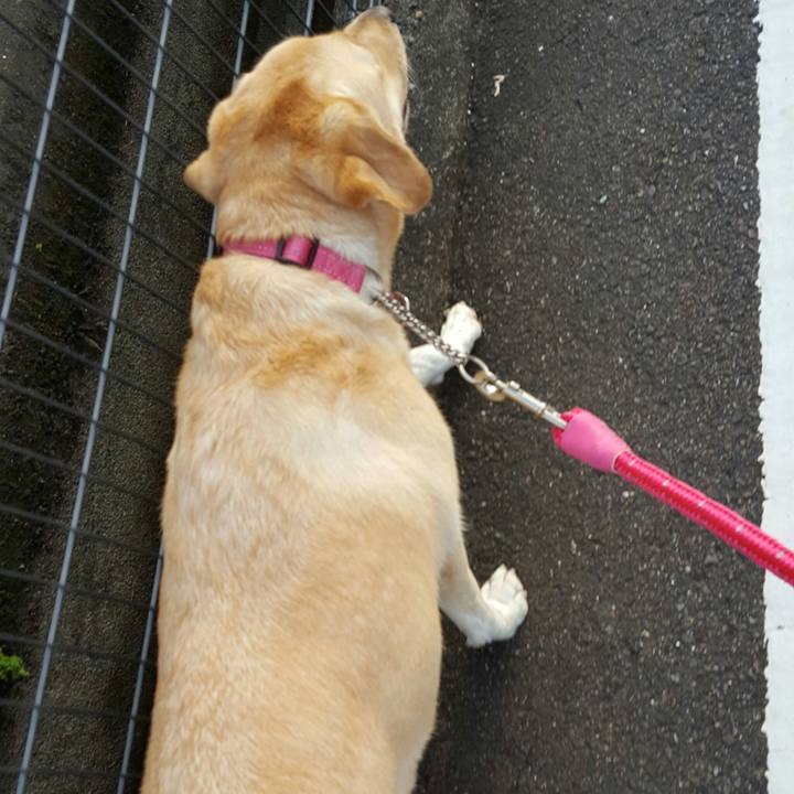 7f976c0a d81b 4311 b6e9 3fccd08affce