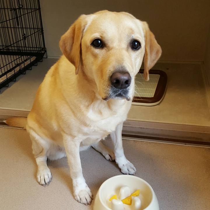 7f979af5 f71f 4d8e ac27 61553118c2b7