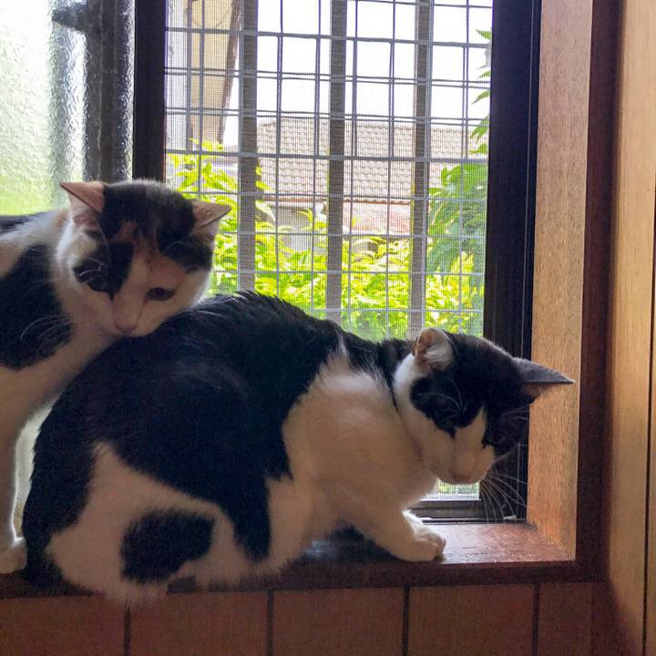 7f9882ce 07a0 4d66 9c01 6e5adc7f00b6