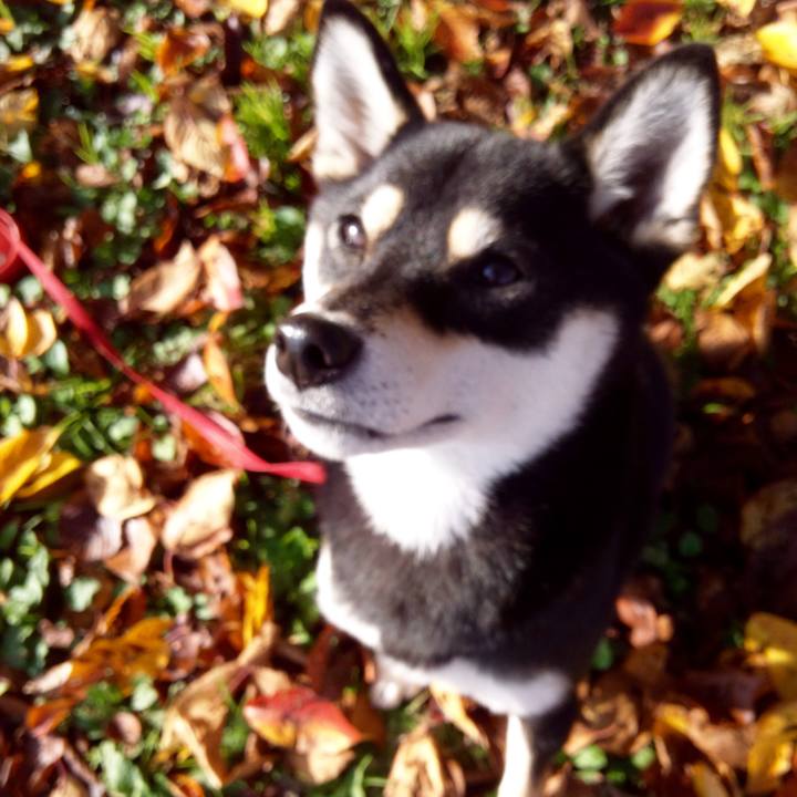 7f998ed4 3332 4dcb 9c7a cae5c9b74be5