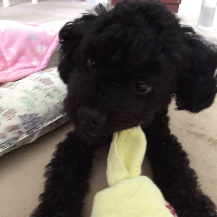 7f99fe10 73e1 4b76 93b4 81fe86f4287e