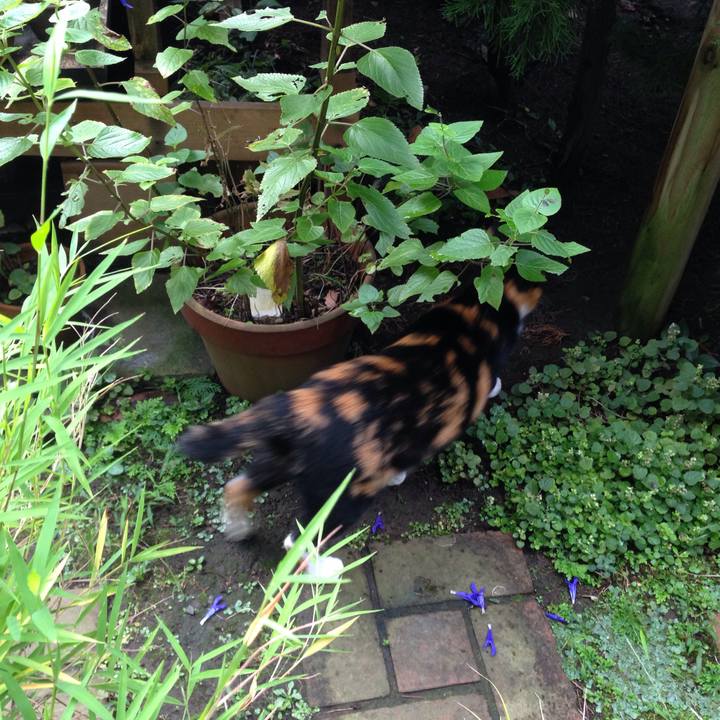 7f9a598a 1f27 41b9 917e 28ea22257dd0