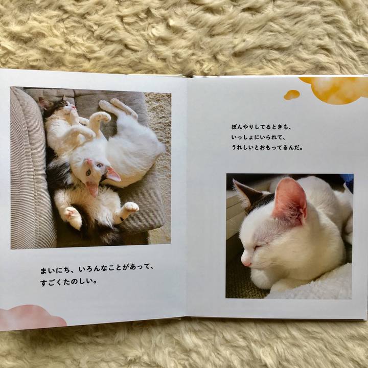 7f9bb2f6 e21c 4cfe 95df b3964de1dd70