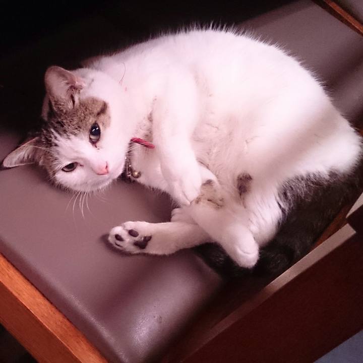 7f9bb8ba 666c 4278 91bf 50fd81dba168