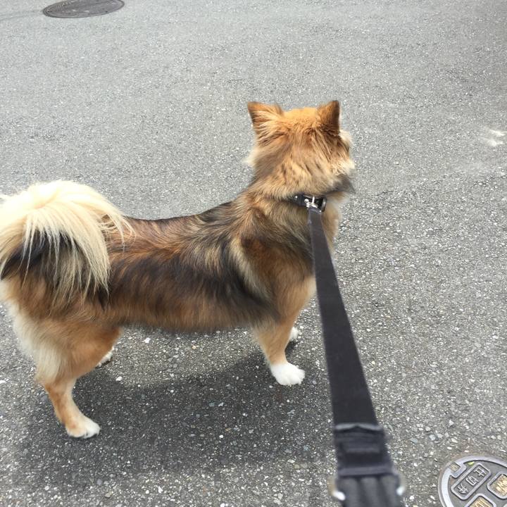 7f9c366c f67f 4b34 ac7f 28c1aff693b0