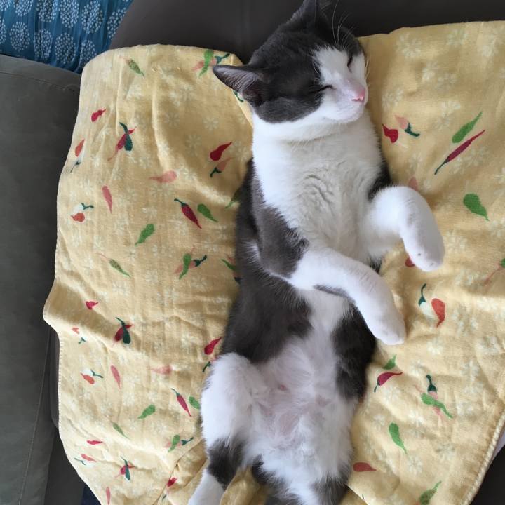 7f9c413f 3387 42d6 ac98 68811457b3c8