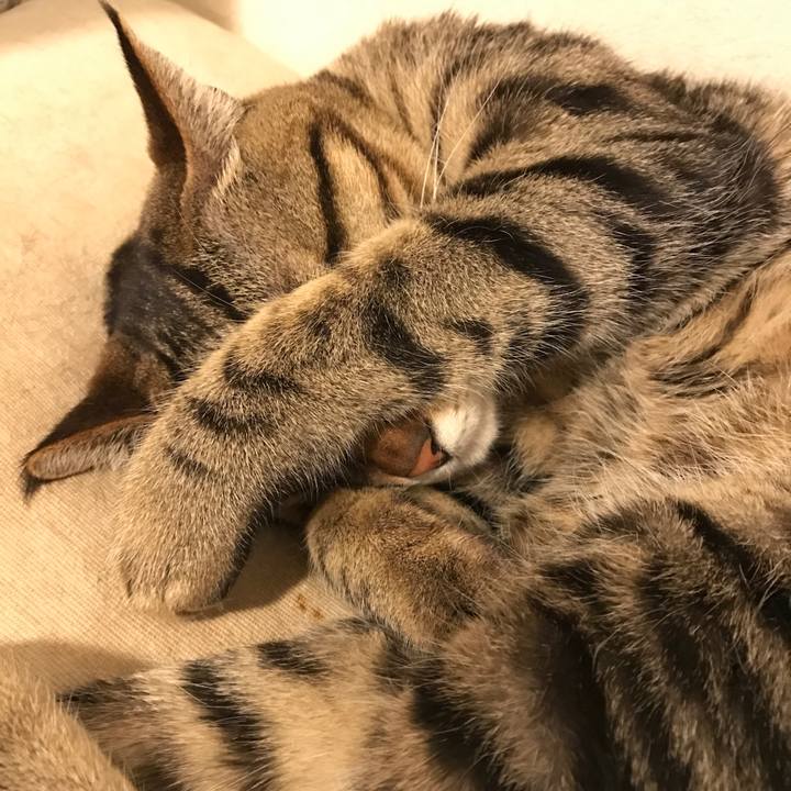 7f9c78d9 676f 4bed a2e1 4d7f23699920