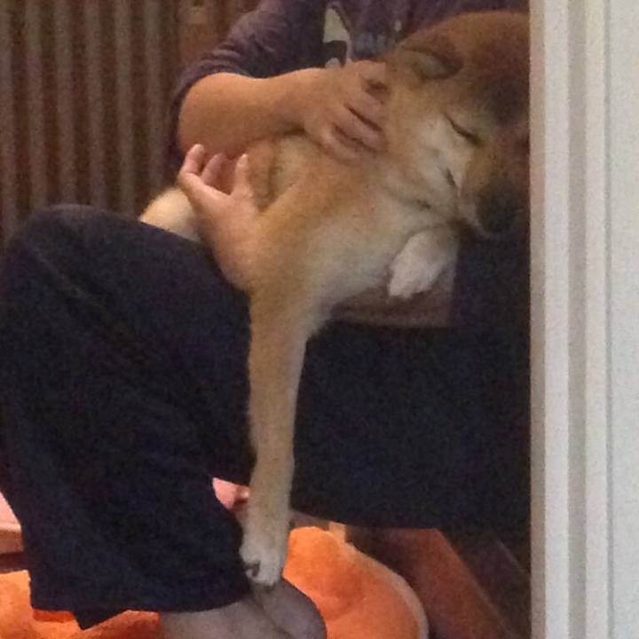 7f9d4779 e989 49d2 9342 0b95d4920344