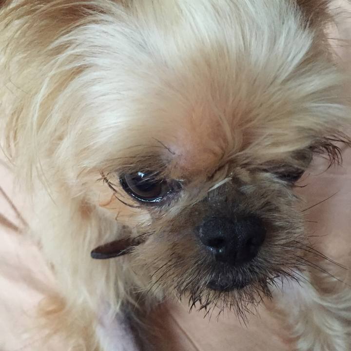 7f9dc850 475f 4525 b18a 7c7577720b71