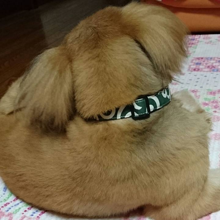 7f9dd1a5 5687 4c8c 8dbb ea3a8a51beff