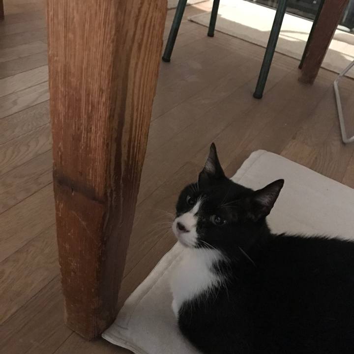 7f9e11a7 bbfe 4400 9579 dea3113987d0