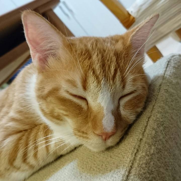 7f9e7b69 9fea 4bc6 a4f8 d675c88da05b