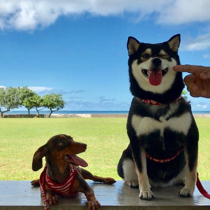 7f9f18fa 1e0c 4b7b b8d5 80df1840a85b