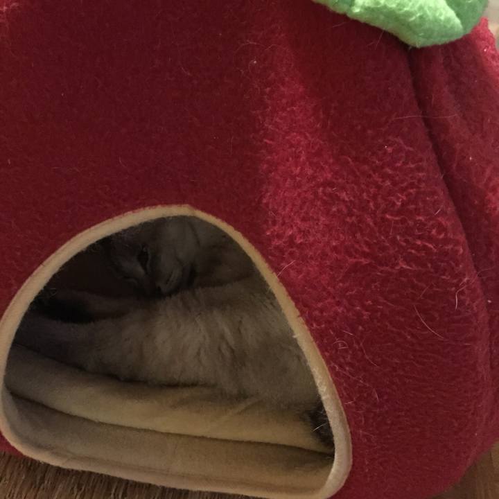 7f9f6032 a566 45d6 ad11 ae9b764099a6