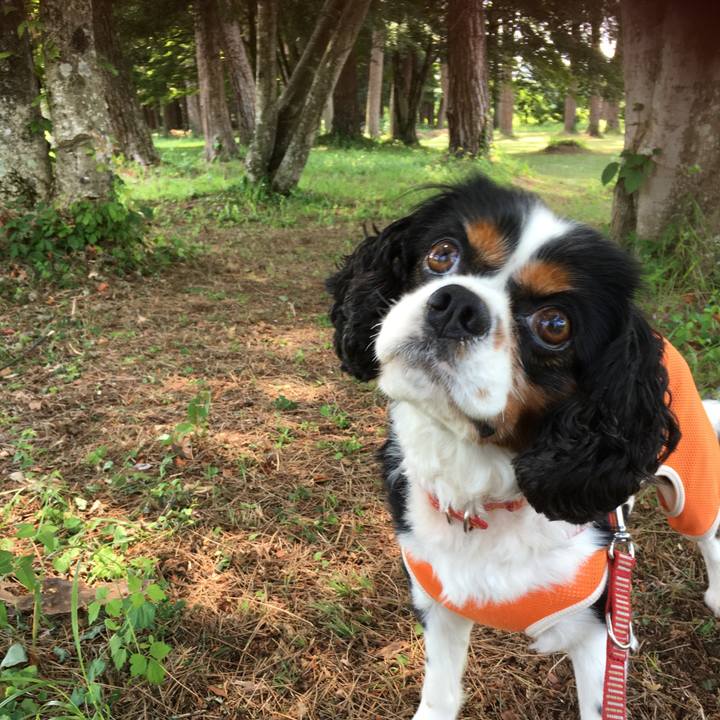 7f9f73d4 499c 45c7 9fb7 99a3a5f6b1e1