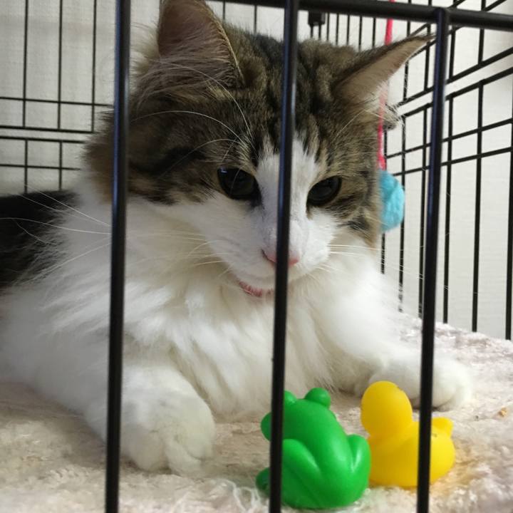 7f9f74de 2f71 4b4b a674 bfab2dfebd37