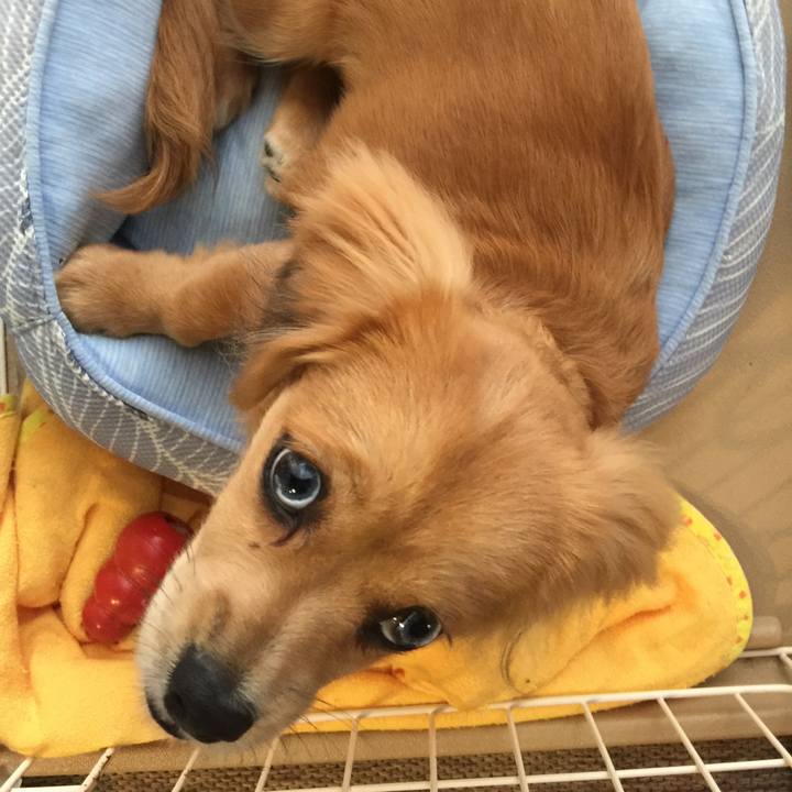 7f9f8978 60d3 400c 93cf 59e9128982c7