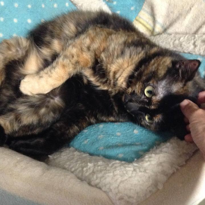 7fa145bc 23ae 4584 97d2 faa11e45701d