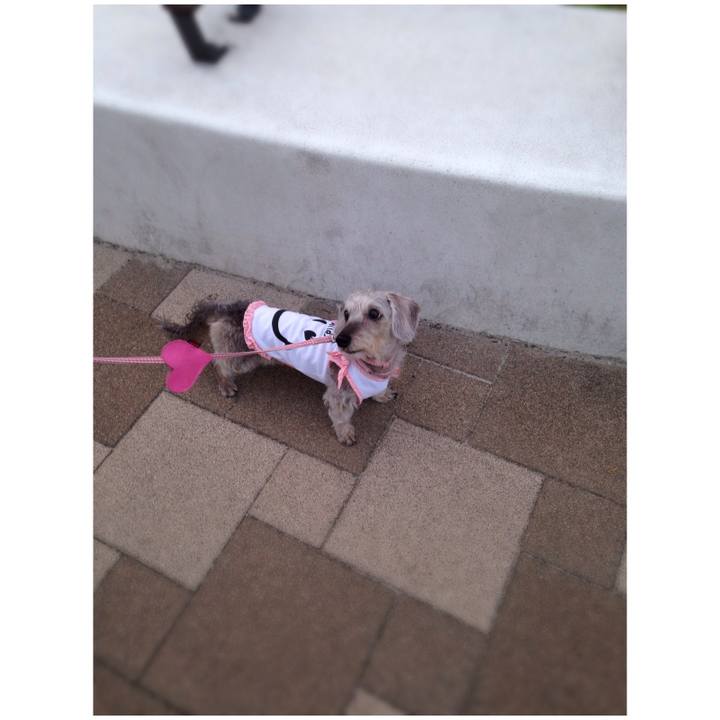 7fa18f72 ed9f 4be3 9bef e0dbe0b28f07