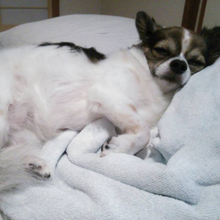 7fa2096b b348 4937 829e ad8b18d35c80