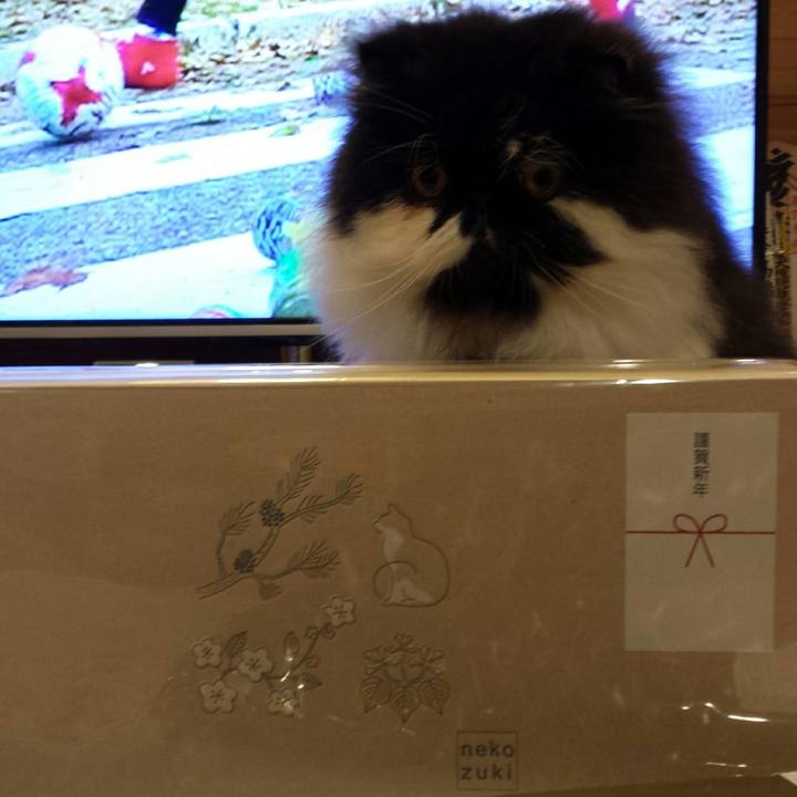 7fa20b7a 3ed5 4b8b 8742 2b75cb52eb97