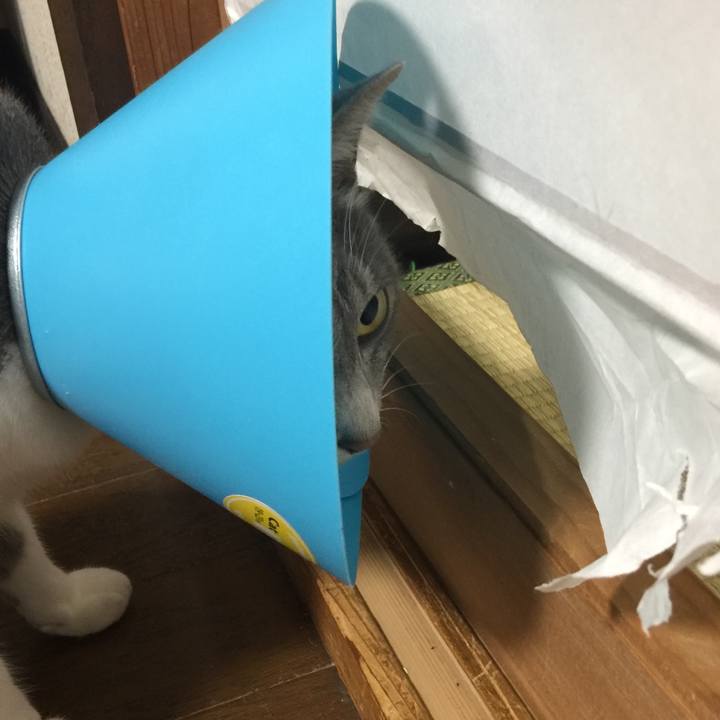 7fa25874 a65f 42f4 b8f0 a95a3b48c186