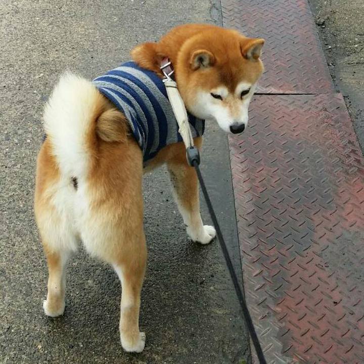 7fa3497f 2b53 46b7 b2f7 4a499a9c2e0d