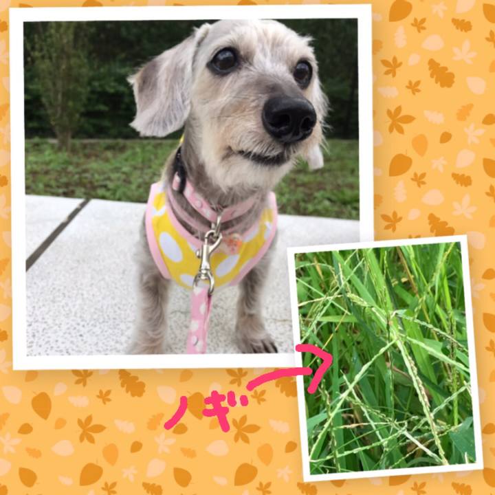 7fa3ac4e 1f46 4f18 80d5 157913c3825a