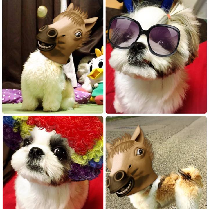 7fa40ecf 5270 464d a791 a14047003c06