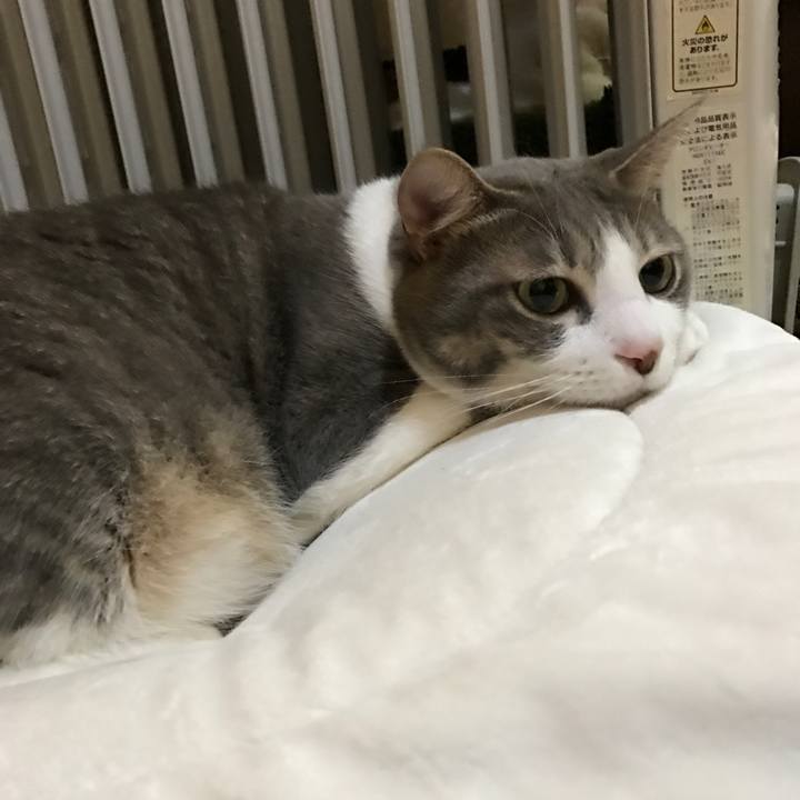 7fa42344 8a99 457b 9e18 8f406adebd5d