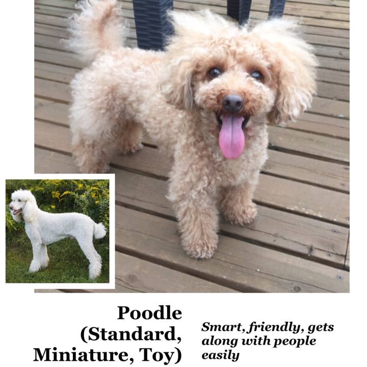 7fa448e2 40da 4eaa be7b 0ae54e9677f6