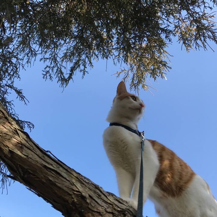 7fa59d1c f27a 4c73 beea 4f34988c944b