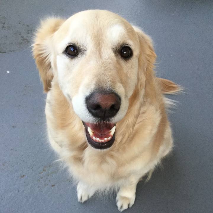 7fa5aa62 55f3 4b05 b2f9 c31cb28fbc81