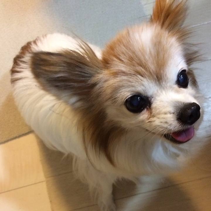 7fa5ad21 f2cd 4a60 a7a0 89cd1c8d2312