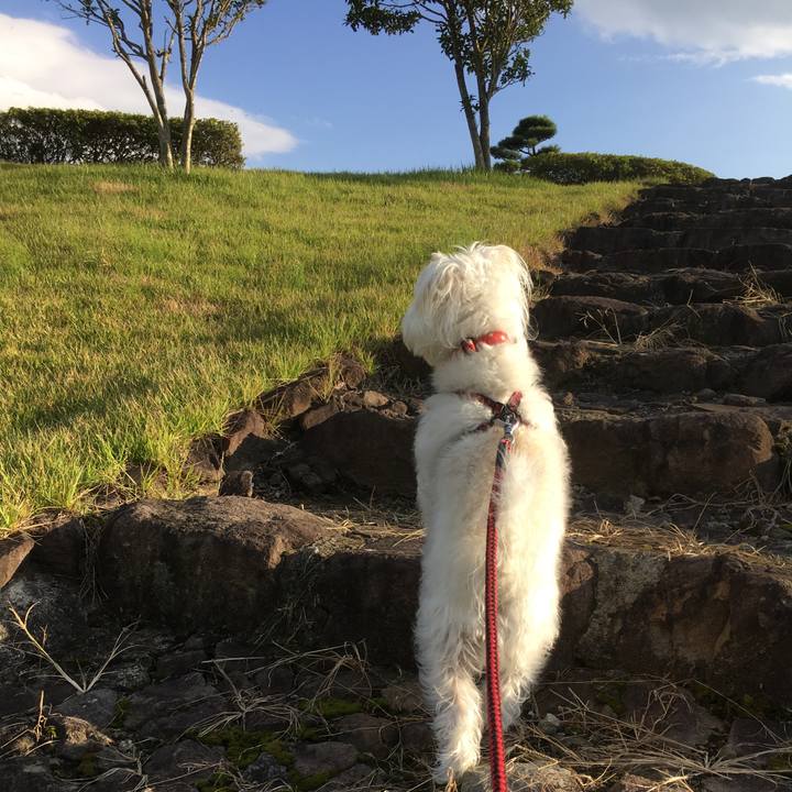 7fa61159 c443 4b81 ad6a fcefcdf8e325