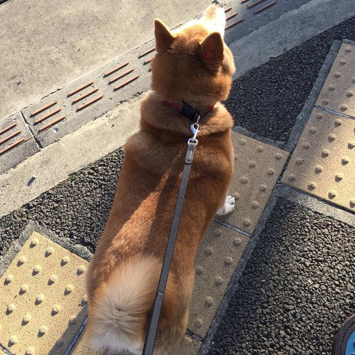 7fa6bb87 73ed 4f93 82be 684bc7554b4e