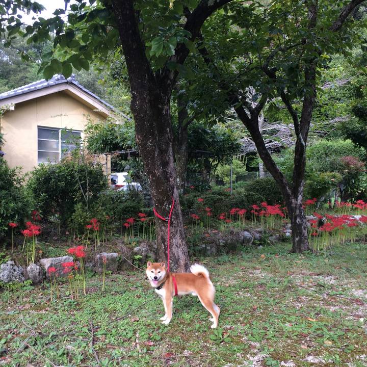 7fa70550 8a88 4c58 b49f f313c569d37f