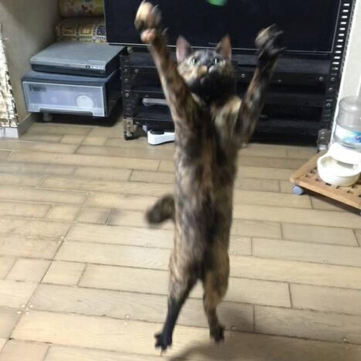 7fa744c2 5237 42d3 bd84 158e1fb301ea