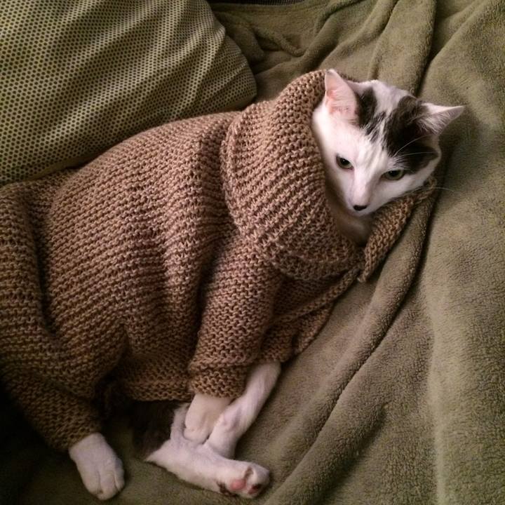 7fa7f9b9 5c83 4a3f b742 221379da7d30