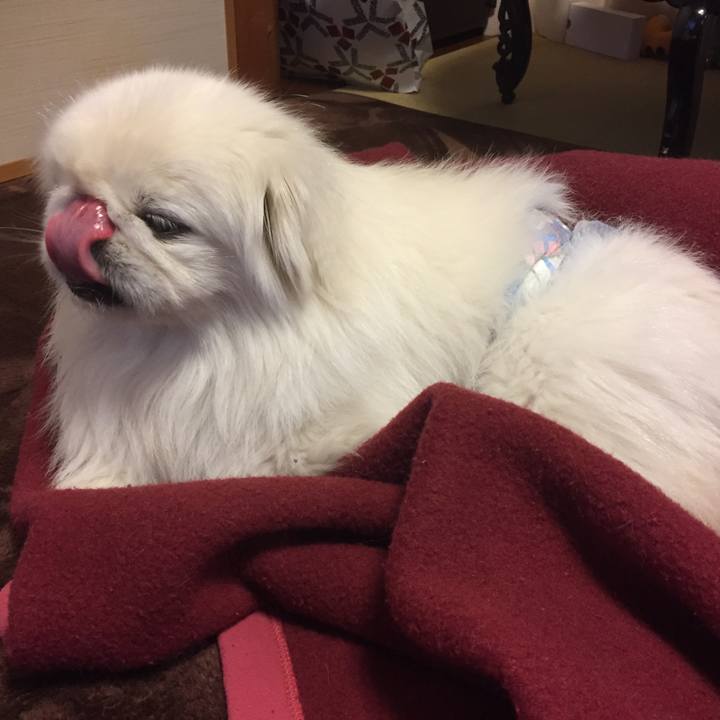 7fa83542 0ce5 4a52 ab25 023f9999febe